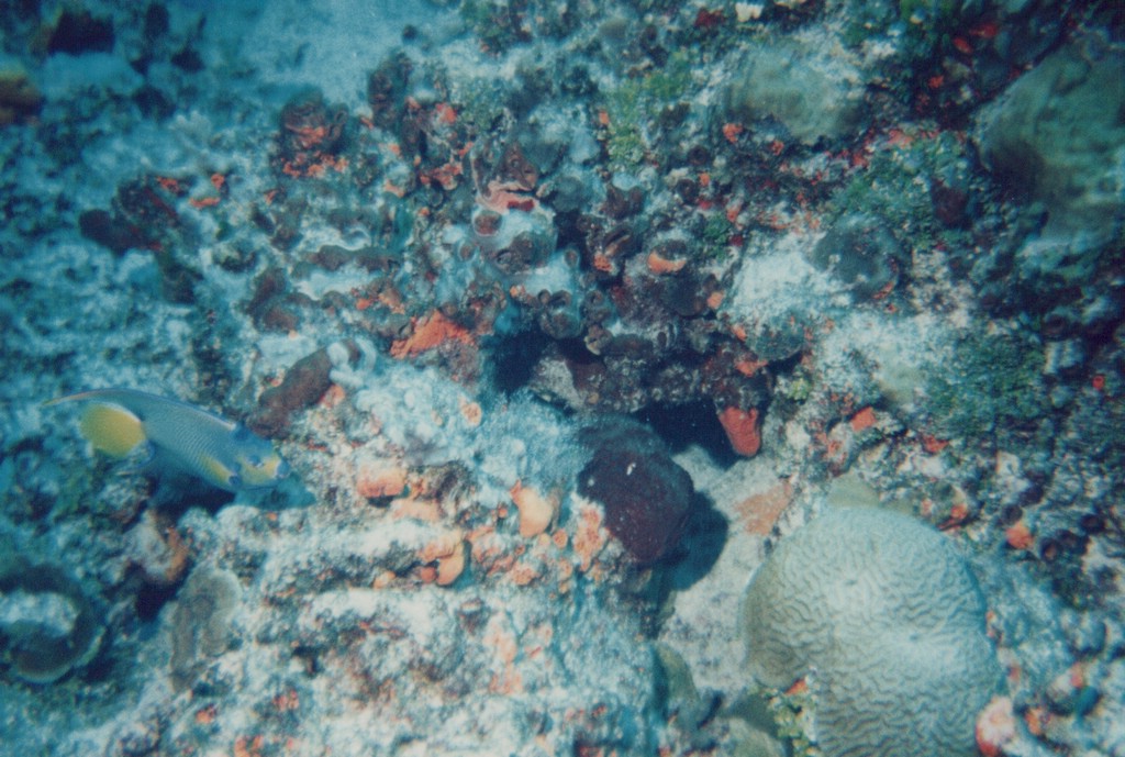 FastFoto_0290_a.jpg