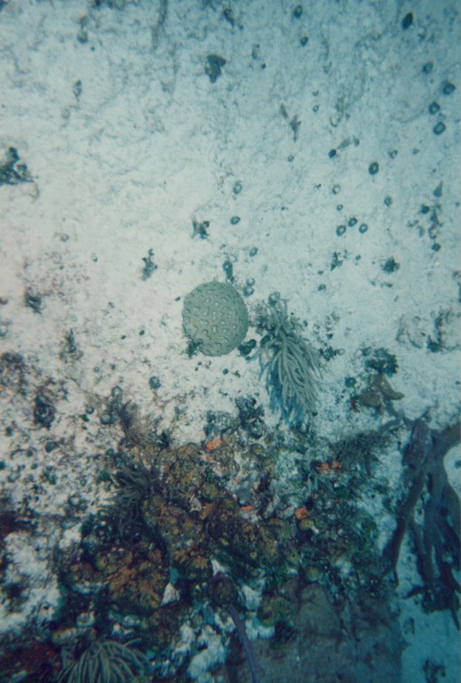 FastFoto_0304_a.jpg