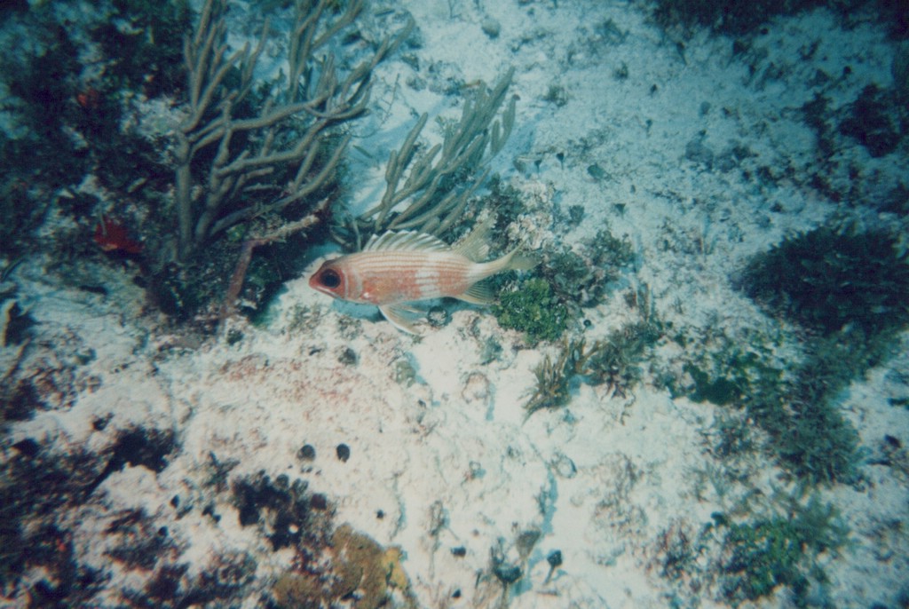 FastFoto_0306_a.jpg