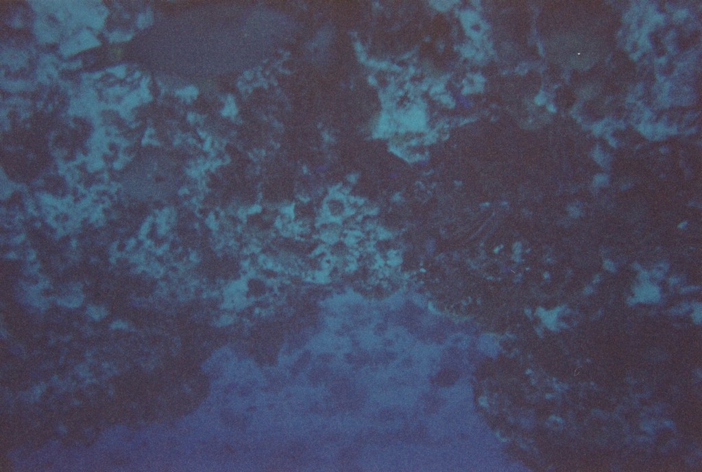 FastFoto_0310_a.jpg