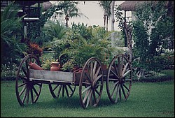1FastFoto_0319_a.jpg