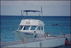 1FastFoto_0336_a.jpg