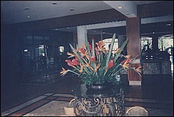 FastFoto_0217_a.jpg