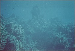 FastFoto_0239_a.jpg