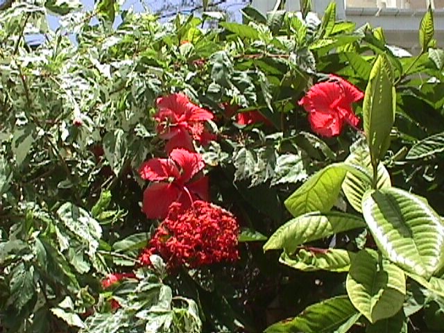 Spanish Bay-001f.jpg