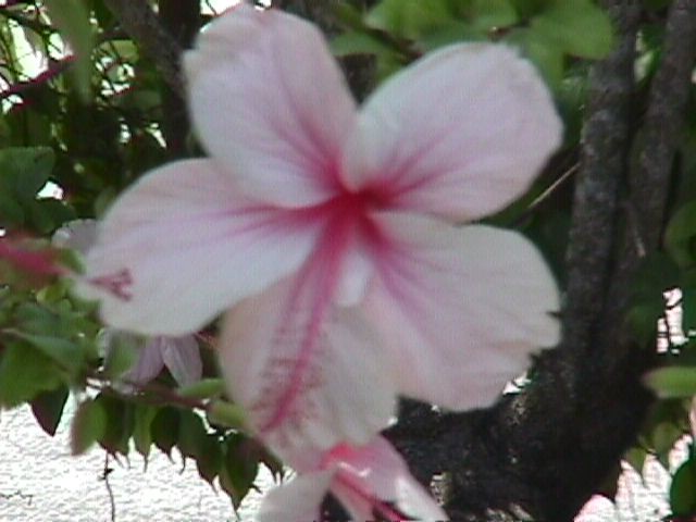 Spanish Bay-014f.jpg