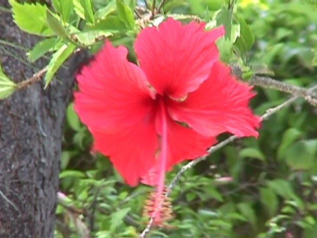 Spanish Bay-015f.jpg