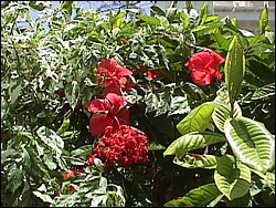 Spanish Bay-001f.jpg