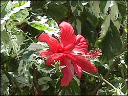 Spanish Bay-002f.jpg