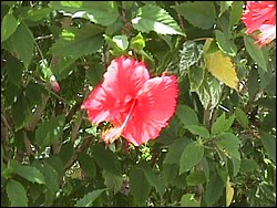 Spanish Bay-012f.jpg