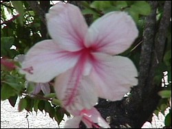 Spanish Bay-014f.jpg