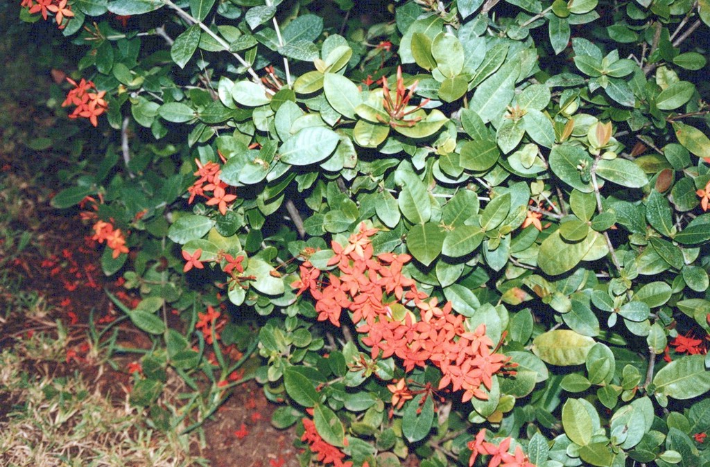 FastFoto_0007_a.jpg