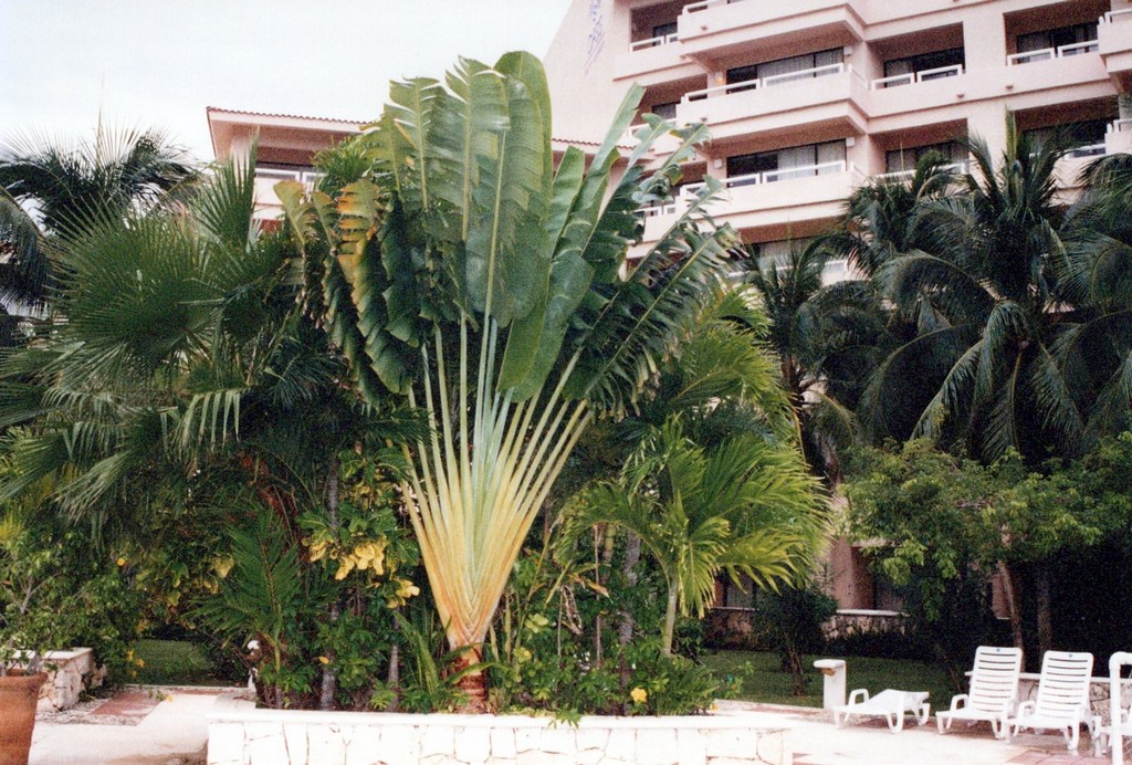 FastFoto_0009_a.jpg