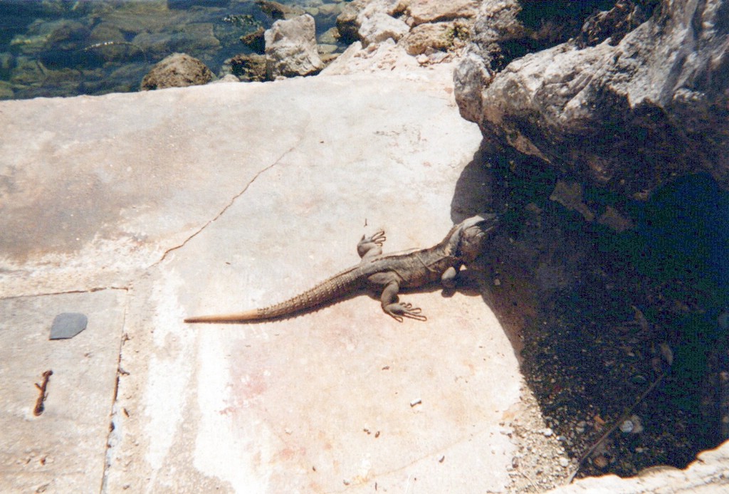 FastFoto_0021_a.jpg
