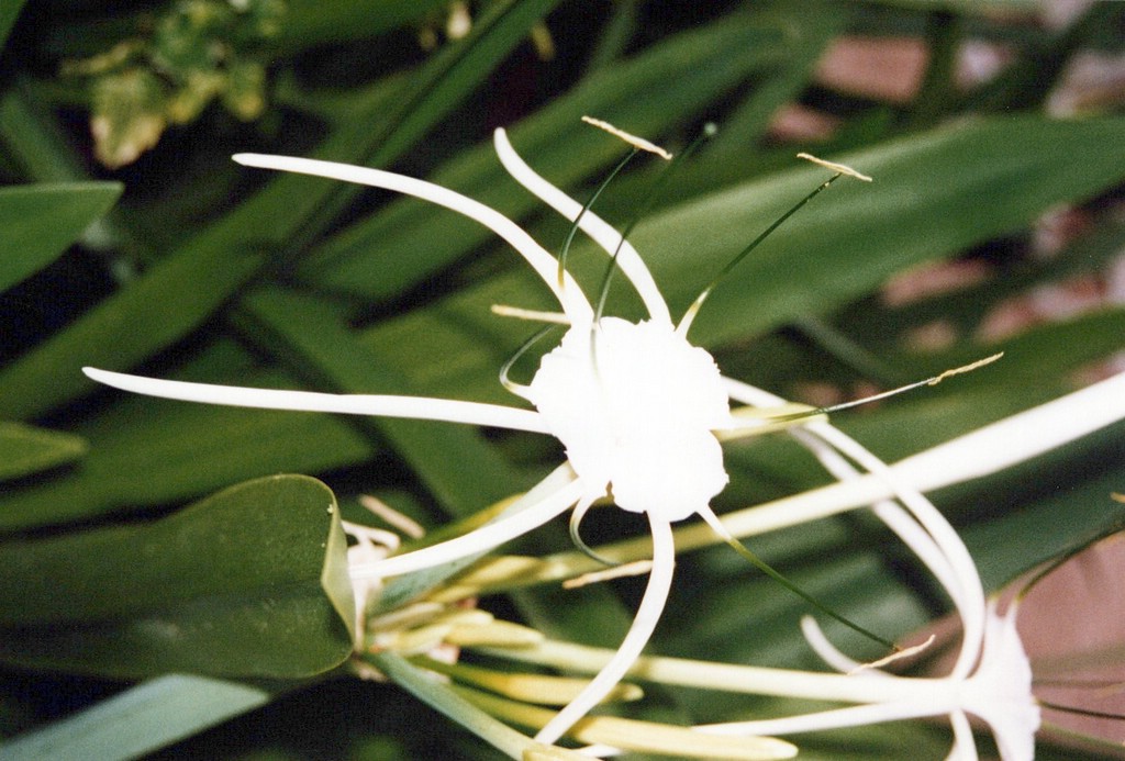 FastFoto_0045_a.jpg