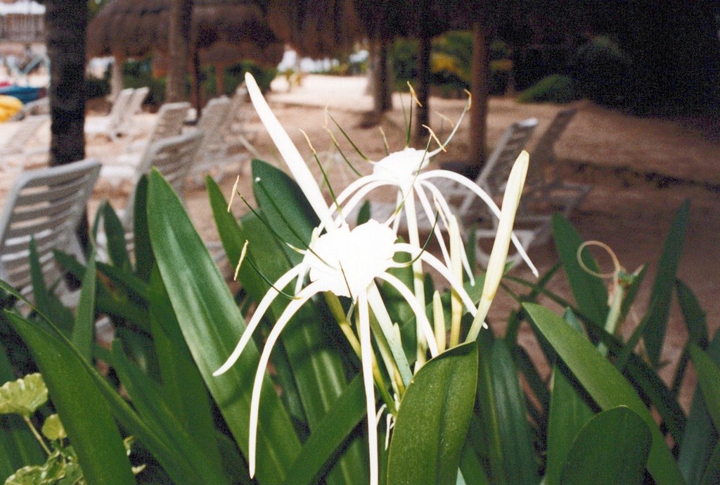 FastFoto_0047_a.jpg