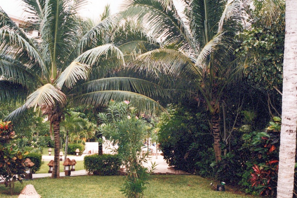 FastFoto_0049_a.jpg