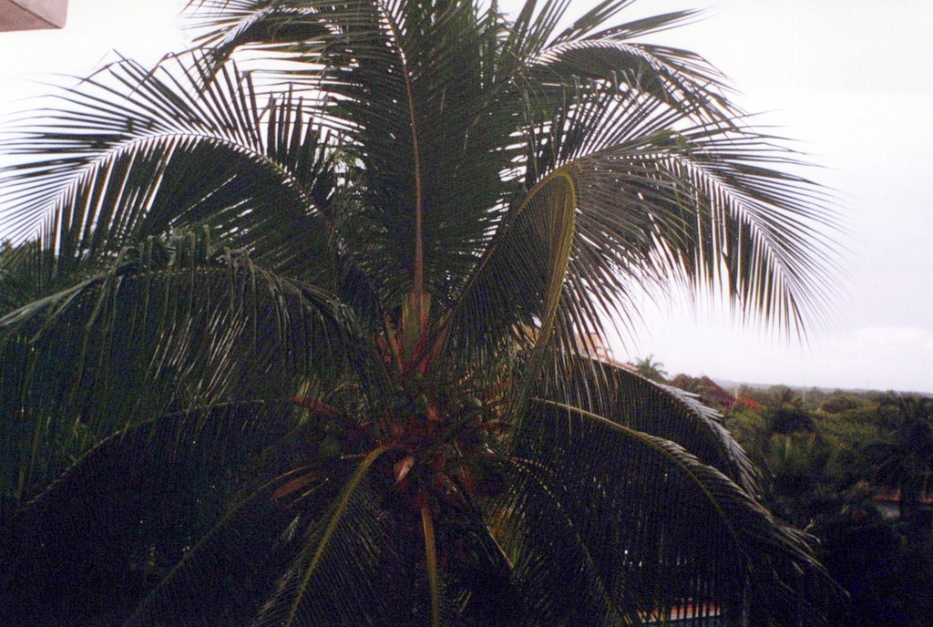 FastFoto_0052_a.jpg