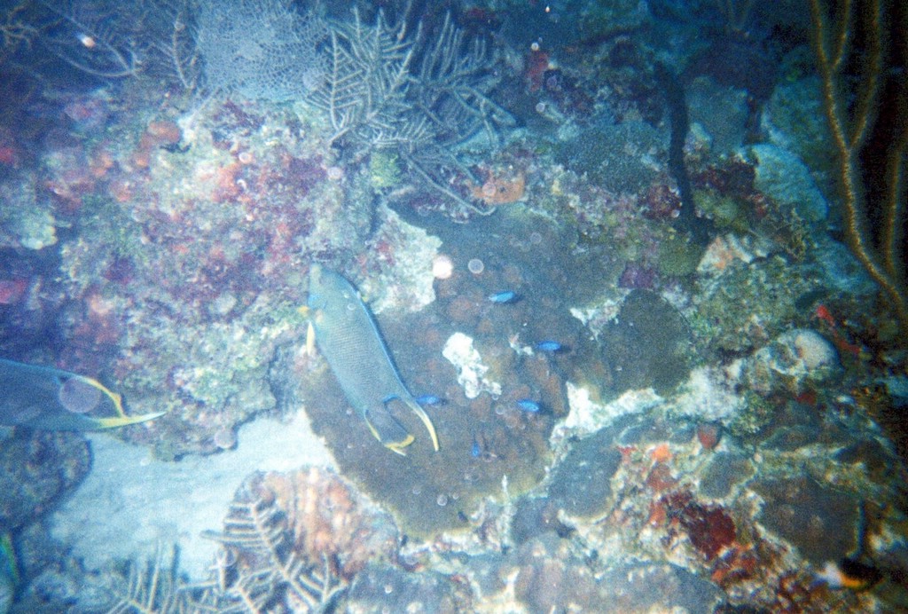 FastFoto_0063_a.jpg