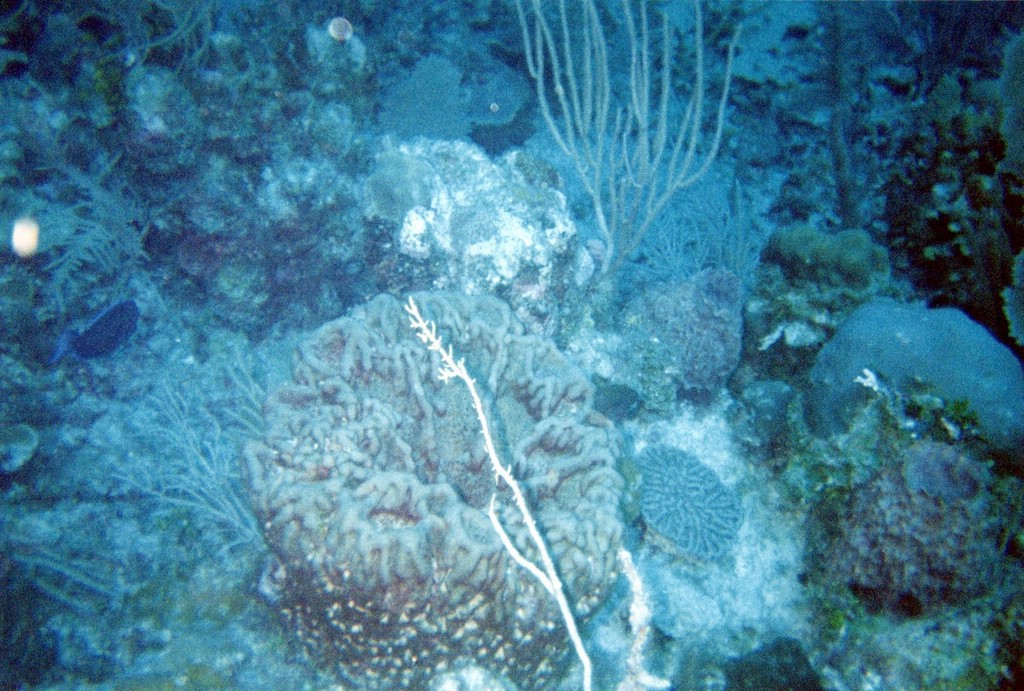 FastFoto_0069_a.jpg