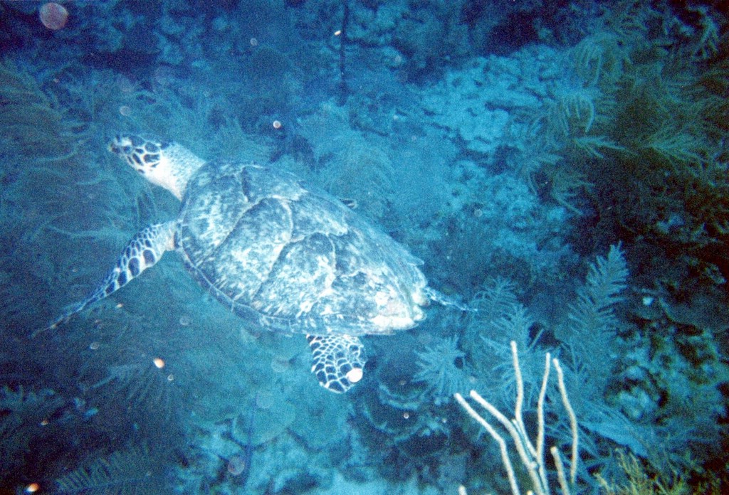 FastFoto_0080_a.jpg
