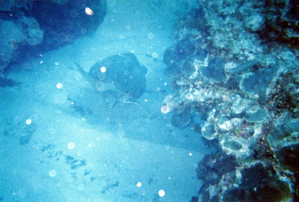 FastFoto_0087_a.jpg