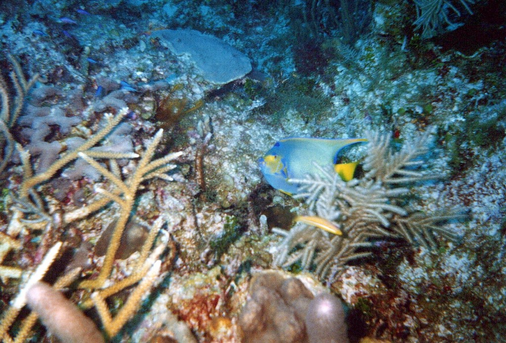 FastFoto_0089_a.jpg