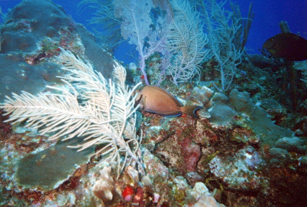 FastFoto_0091_a.jpg