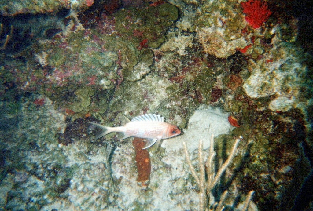 FastFoto_0127_a.jpg