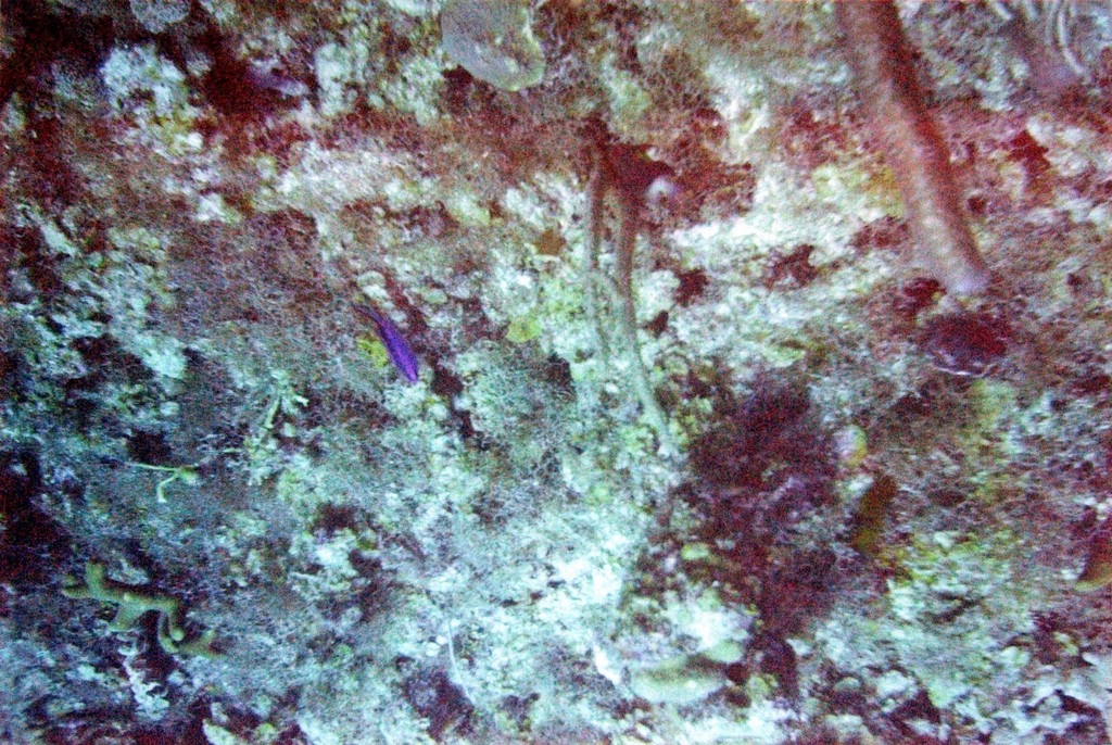 FastFoto_0147_a.jpg