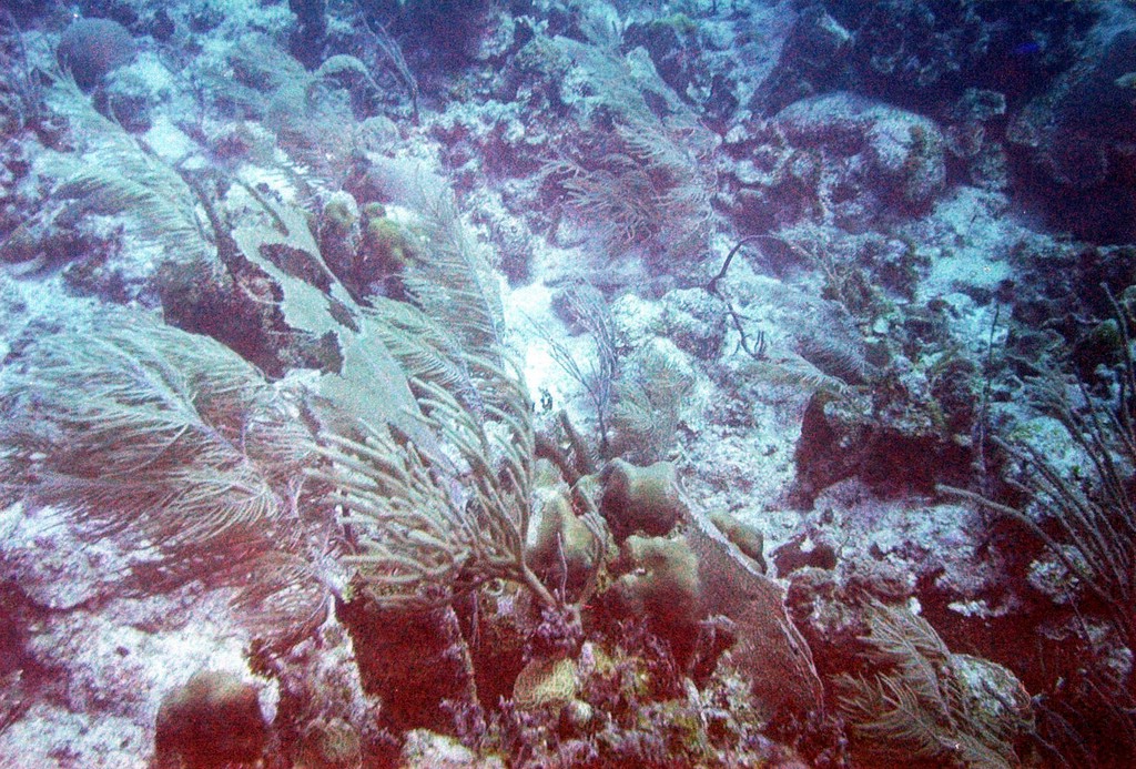 FastFoto_0170_a.jpg