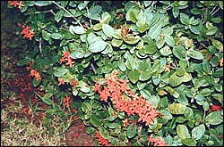 FastFoto_0007_a.jpg