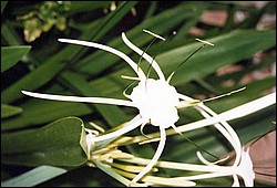 FastFoto_0045_a.jpg