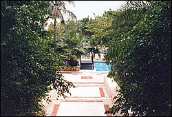 FastFoto_0048_a.jpg