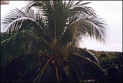 FastFoto_0052_a.jpg