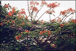 FastFoto_0062_a.jpg