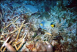 FastFoto_0089_a.jpg