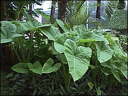 MVC-009F.JPG