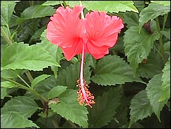 Mvc-026f.jpg
