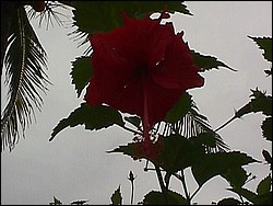 Mvc-029f.jpg