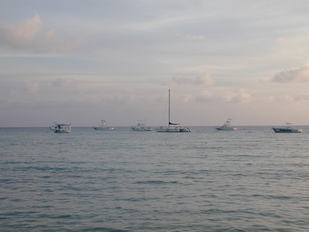 00Image006.jpg