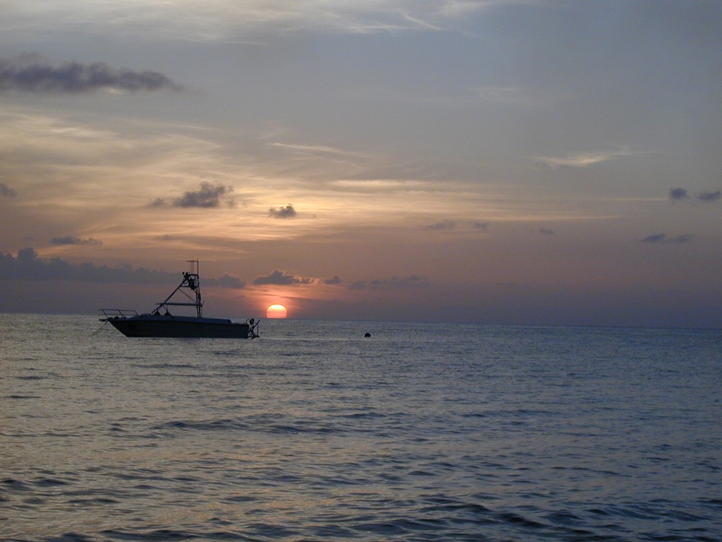00Image012.jpg