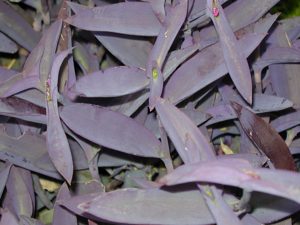 00Image061.jpg