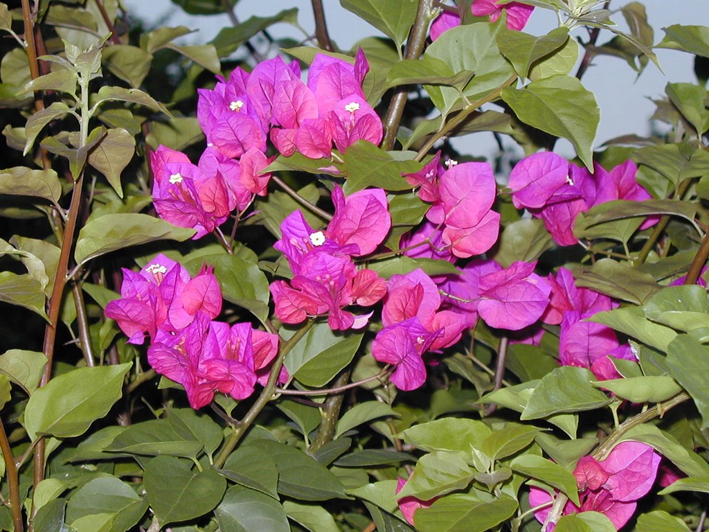 00Image085.jpg