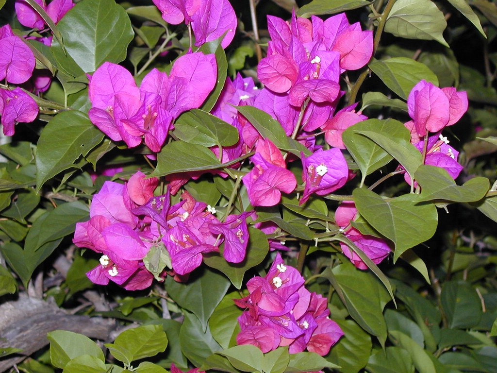00Image086.jpg