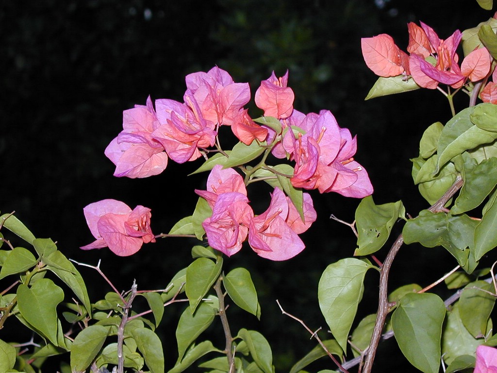 00Image088.jpg