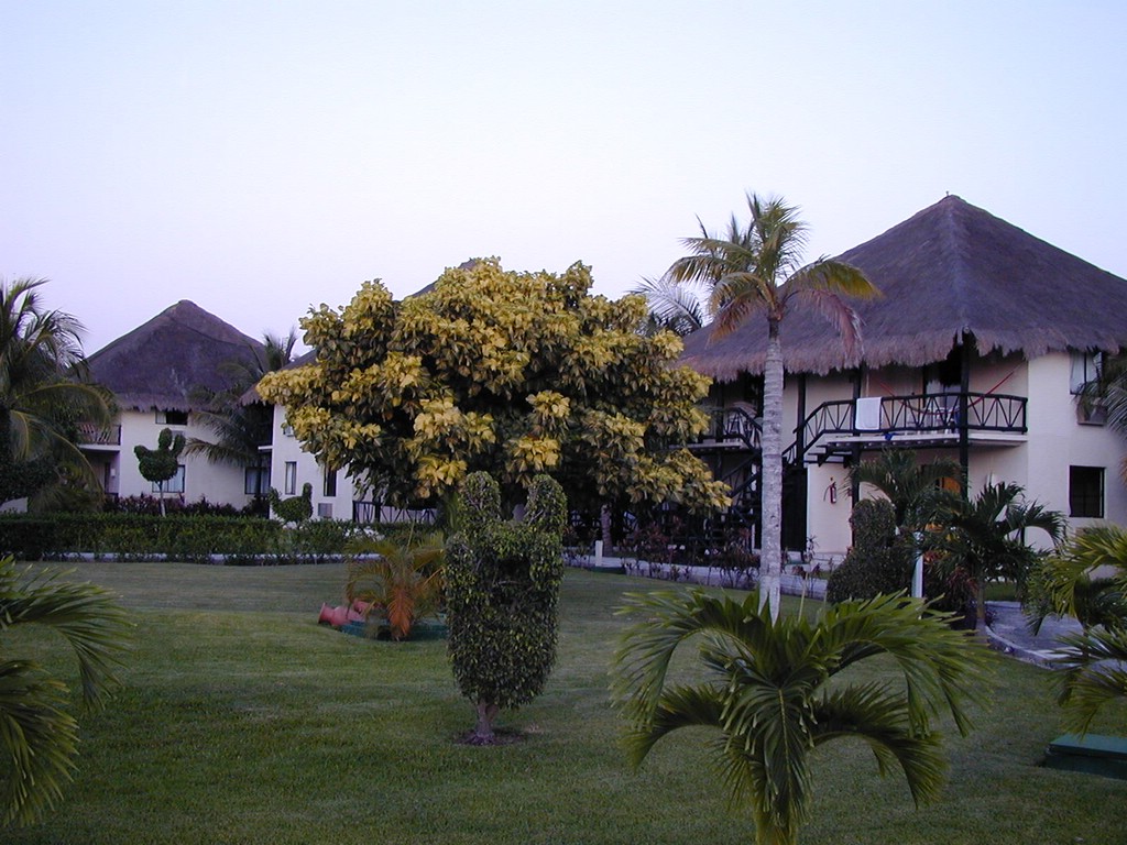 00Image090.jpg