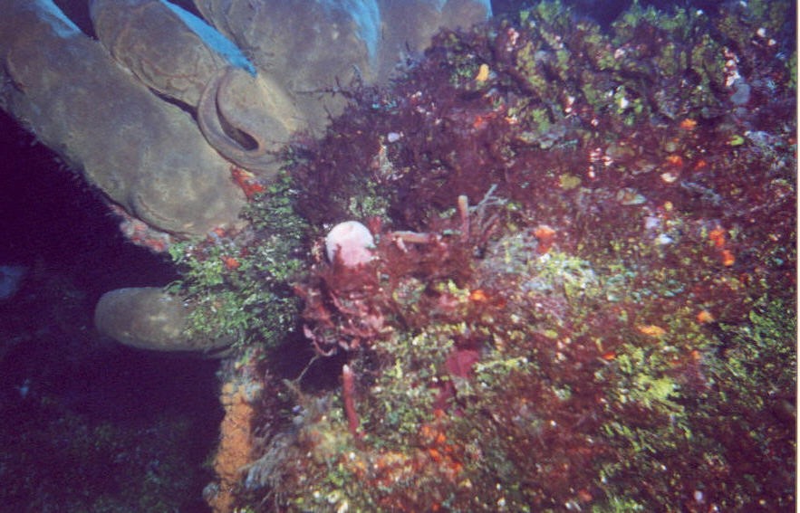 01_Columbia_Deep-04.jpg