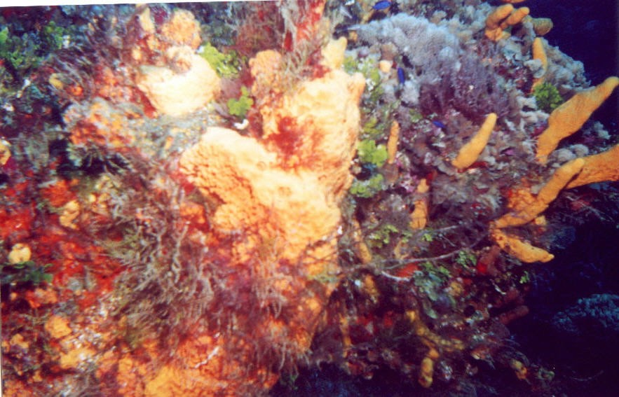 01_Columbia_Deep-06.jpg