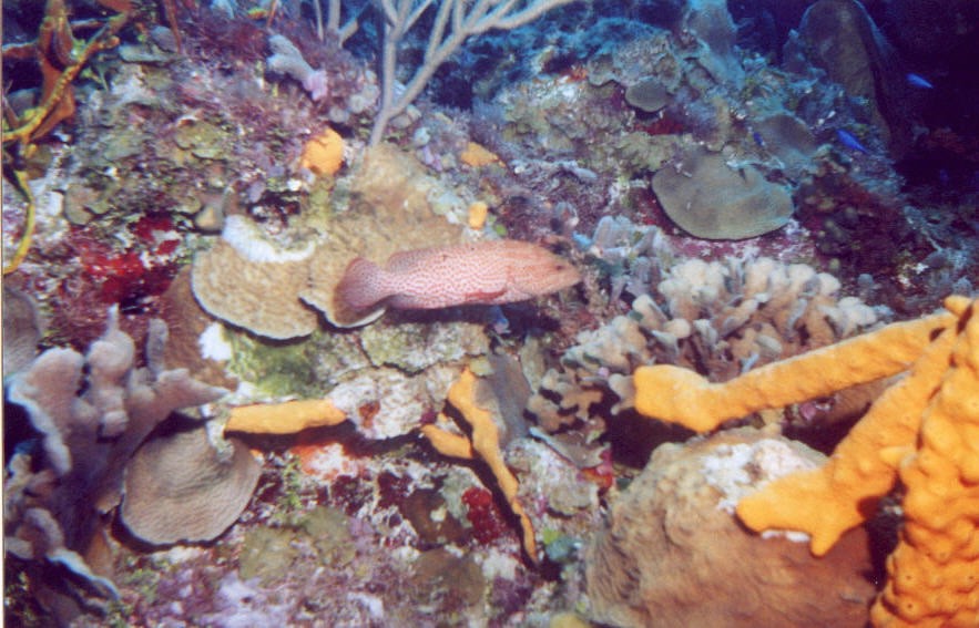 01_Columbia_Deep-07.jpg